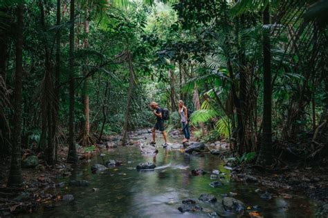 Discover The Beauty Of The Wet Tropics Cairns And Great Barrier Reef