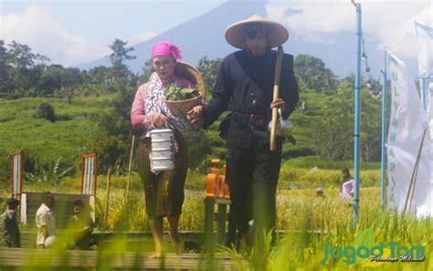 erek petani