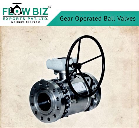 Ss Gear Operated Ball Valve At Rs 10000 In Ahmedabad Id 24075357933