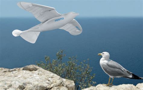Festos New Smartbird Robot Spy Drone Mimics Real Seagull