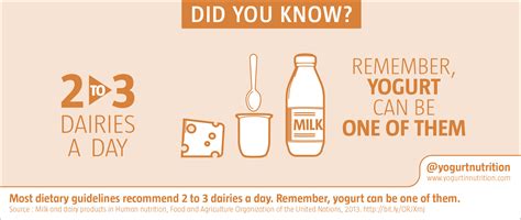 Dairy 3 Every Day Yogurt In Nutrition