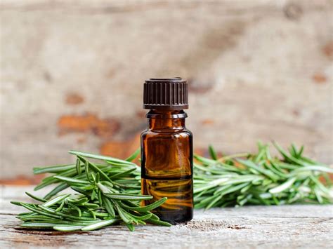 Rosemary Oil Benefits Know The Uses And Advantages For Hair