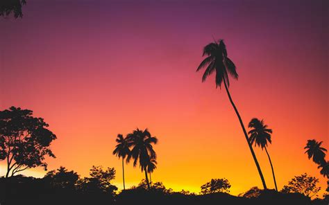Download Wallpaper 3840x2400 Palms Sunset Silhouettes Tropics Sky
