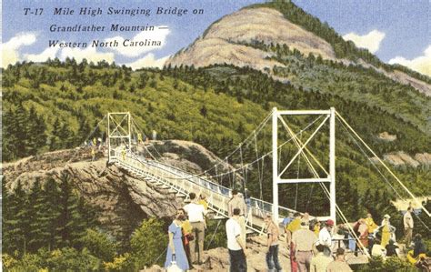 Are You My Cousin Travel Tuesday Vintage Grandfather Mountain Postcard