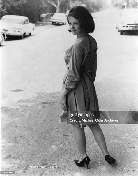 Entertainer Shelley Fabares Poses For A Portrait In Circa 1965 Photo D