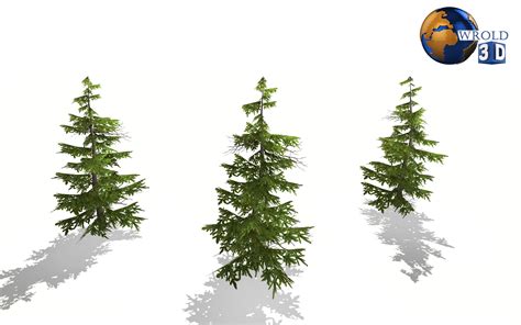 3d Model Pine Tree Lowpoly 3d Model Vr Ar Low Poly Cgtrader