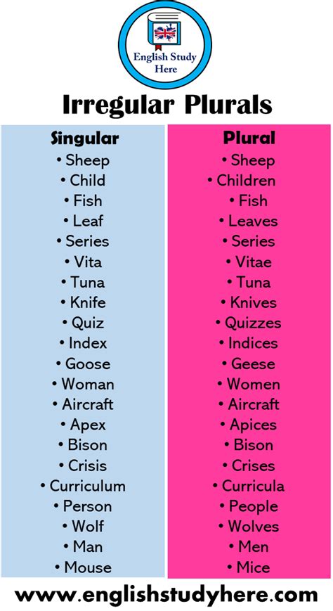 Irregular Plurals Words List English Study Here