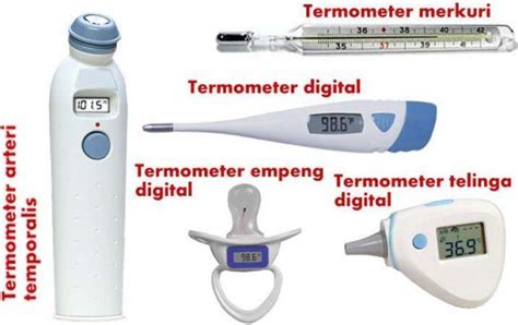 Fungsi Termometer Beserta Jenis Dan Cara Penggunaan Yang Tepat The