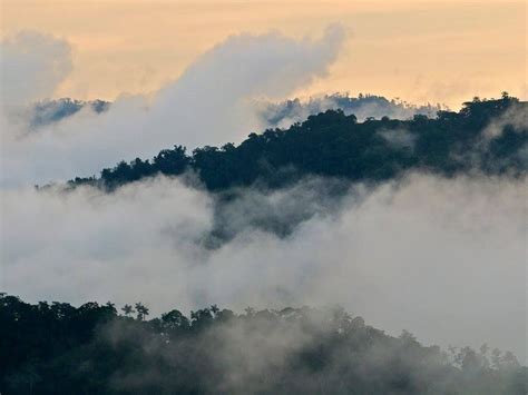 Cloud Forest Andes Ecuador