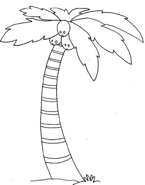 Click on the coloring page to open in a new window and print. Palm Tree Coloring Page - childrencoloring.us