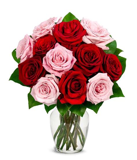 Maybe you would like to learn more about one of these? One Dozen Red and Pink Roses at From You Flowers