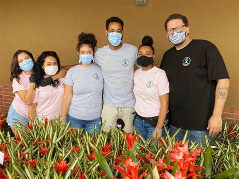Book olive hill, eleftheres on tripadvisor: Jefferson Park Mom's get beautiful Olive Hill plants for ...