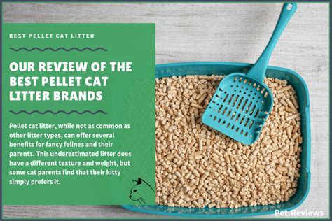 Types Of Cat Litter Pellets Fredricka Halstead