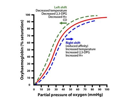 The Edge The Oxyhemoglobin Dissociation Curve Part 2