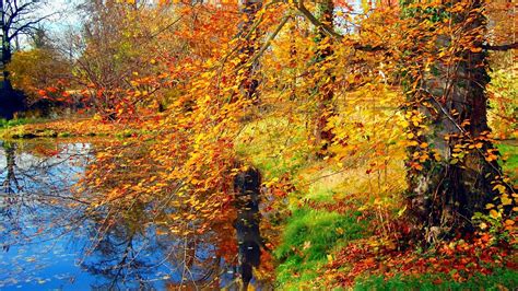 Pond Autumn Nature Trees Castle Sky Clouds Coolwallpapersme