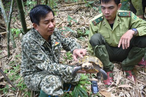 Discover Many Rare Turtle Species At Pu Hu Nature Reserve Vietnam Tourism