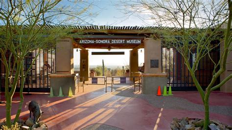 Arizona Sonora Desert Museum In Tucson Arizona Expediaca