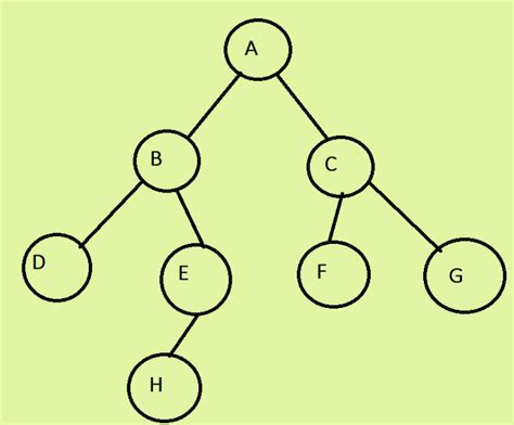 What Is Tree Data Structure And Its Types