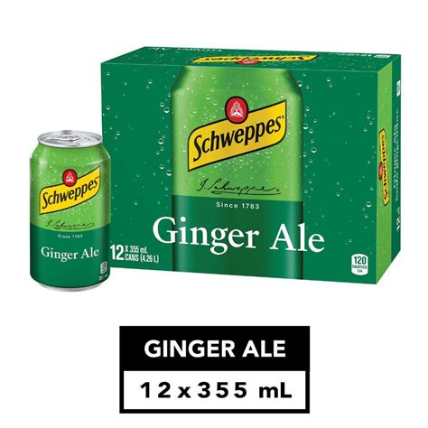 Can Schweppes Ginger Ale 12 X 355ml Pepsi Sold By Case12002
