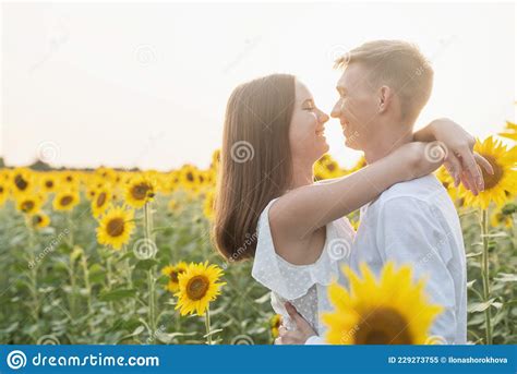 Beautiful Couple Kissing In Sunflowers Fields Stock Image Image Of Relationship Pretty 229273755