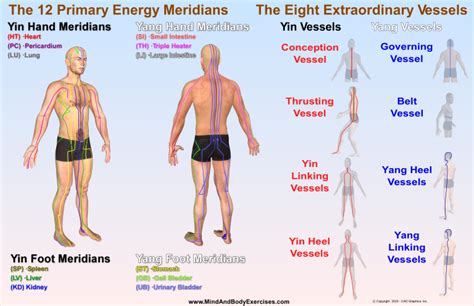 The 12 Primary Energy Meridians And The 8 Extraordinary Vessels