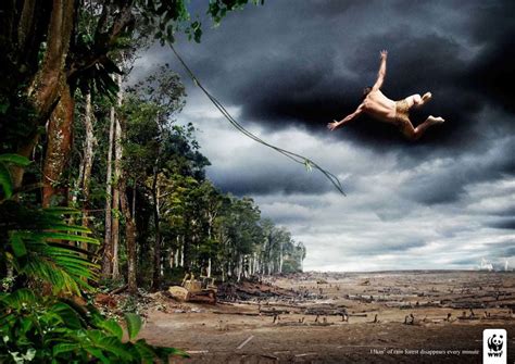 Wwf is building a future in which humans live in harmony with nature. PUB-WWF-ECOLOGIE-Déforestation - Le blog de EasyDoor