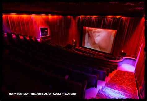 Dr Emilio Lizardo S Journal Of Adult Theaters Flash Report H Man At The Art Cinema In
