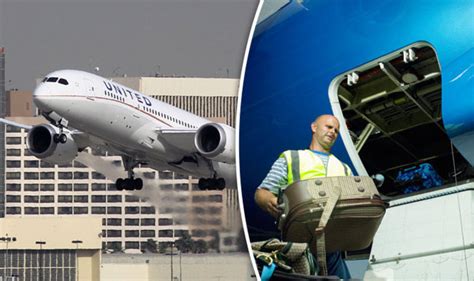 United Airlines Baggage Handler Gets Trapped In The Hold On A Flight