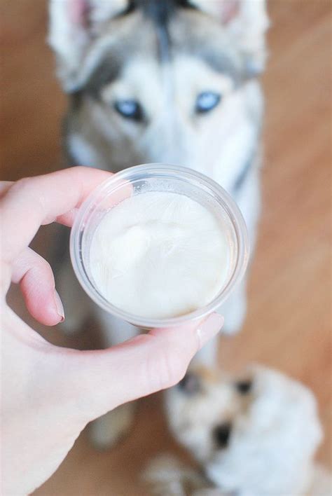 Homemade Peanut Butter Doggy Ice Cream Recipe Peanut Butter Dog