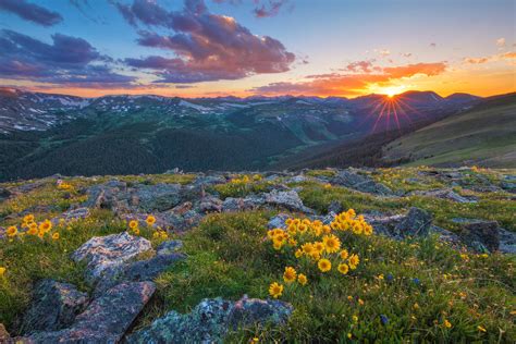 The Top 5 National Parks To See Wildflowers In The Us Lonely Planet