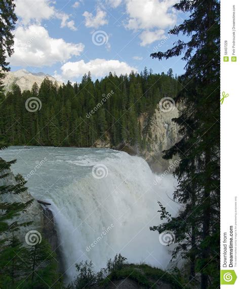 Wapta Falls Stock Photo Image Of Beauty National Ecology 58407228