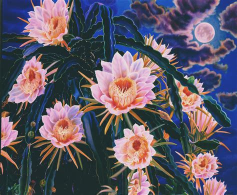 The flowers, sometimes called arizona's queen of the night, tend. The Creative-Native Project: Mystical Moonlight Bloom