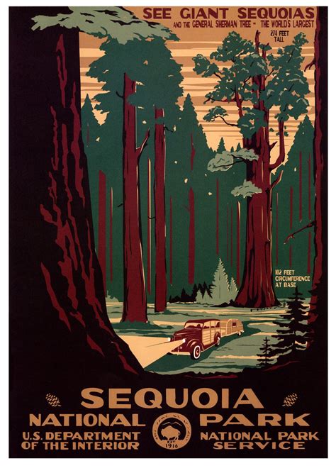 Sequoia National Park Vintage National Park Posters National Park