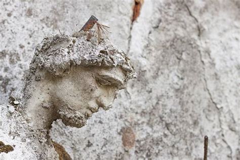 Broken Statue Bust Stock Photos Pictures And Royalty Free Images Istock