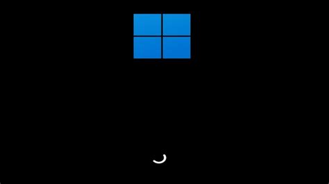 Windows 11 Loading Screen