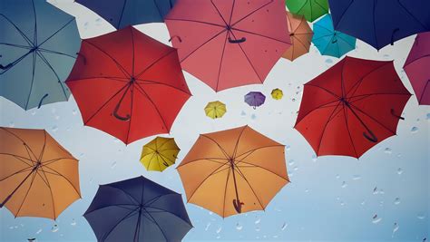 Term vs. Whole Life Insurance | SoFi