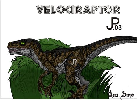 Jurassic Park Velociraptor By Usielb On Deviantart