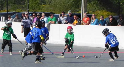 Ball hockey is a team sport and a variation of the sport of ice hockey and a specific variation of the game of street hockey. Saskatoon Ball Hockey Tournament - The Meadows