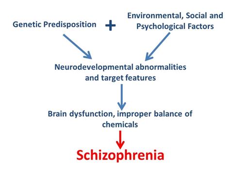 sex and schizophrenia sexinfo online