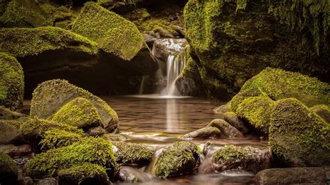 Waterfalls Streams Forests Moss Rocks Nature Hd Wallpaper Rare