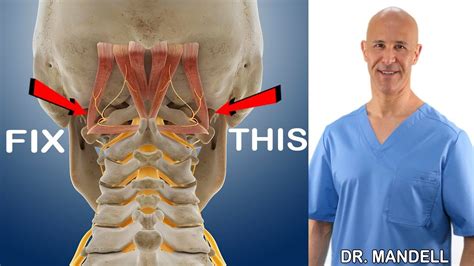 Stiff Neck Or Headaches Try This Quick Fix Dr Alan Mandell Dc Youtube