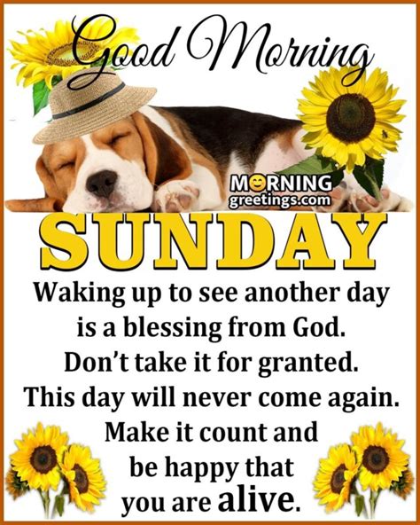 50 Best Sunday Morning Quotes Wishes Pics Morning Greetings Morning