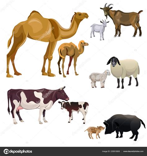 You would say goat by saying meke. Farm Animal Images For Kids - Coloring wall