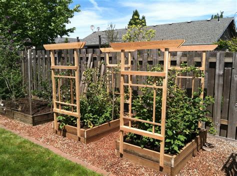 How do i support raspberry bushes? Trellis for Raspberries - by Lboy @ LumberJocks.com ...