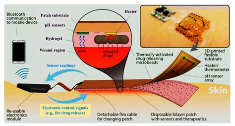 Applications Of Hydrogels For Wound Healing Encyclopedia Mdpi
