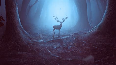 Into The Woods Reindeer 4k Hd Artist 4k Wallpapers Images
