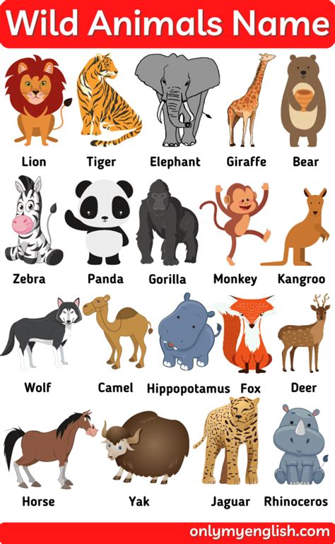 Wild Animals Name List With Pictures In English Onlymyenglish