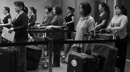 Fall 2013 SJDC Shows| The New School News Releases