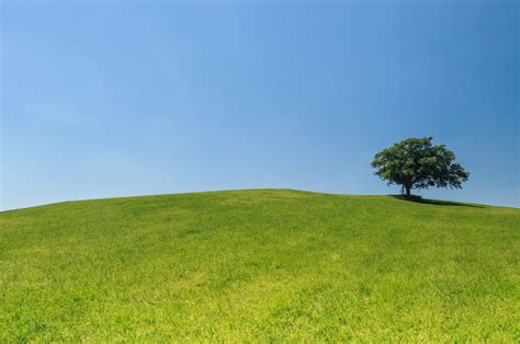 Free Stock Photo Of Eco Green Hill