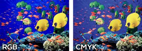 Difference Between Cmyk And Rgb Colortech Inc Creative Solutions